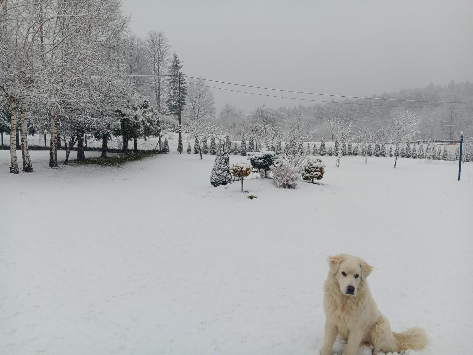 Lodge U Malgorzaty *