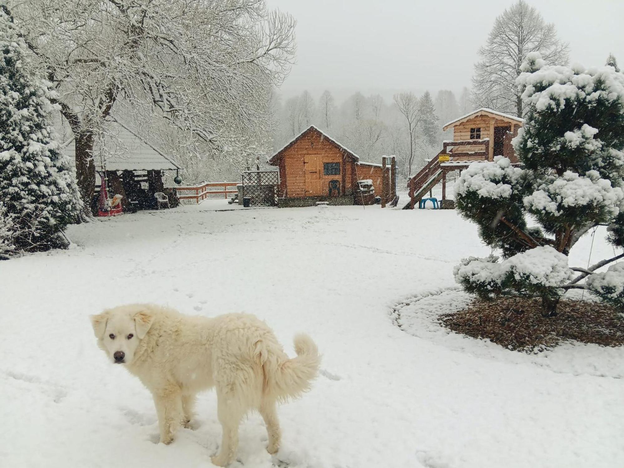 U Malgorzaty Lodge